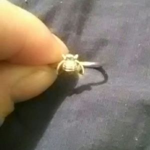 Sterling silver Ring with 14k bee on it